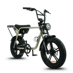 Load image into Gallery viewer, Fatfish Biggie EN15194 Certified Fat Tyre E-Bike