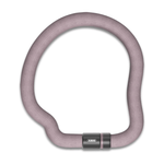 Load image into Gallery viewer, Abus Goose Lock 6206K