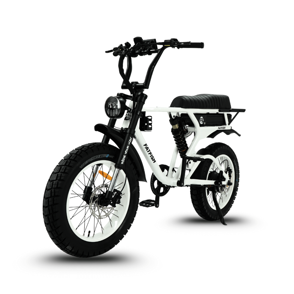 Fatfish DS Fat Tyre E-Bike
