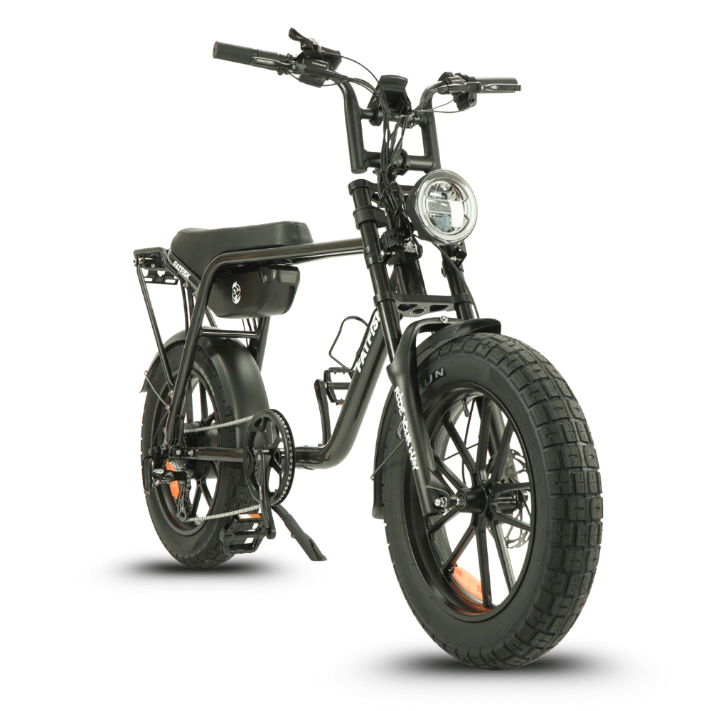 Fatfish OG Fat Tyre E-Bike