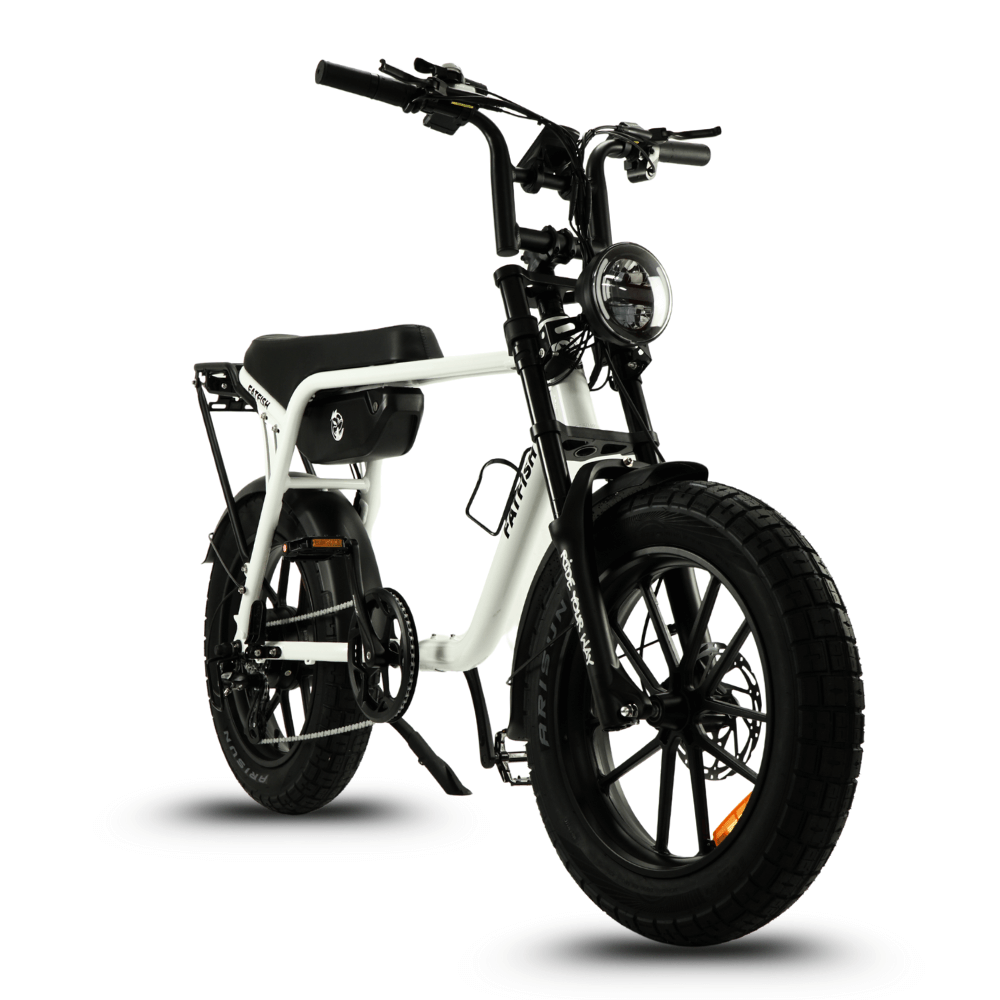 Fatfish OG Fat Tyre E-Bike