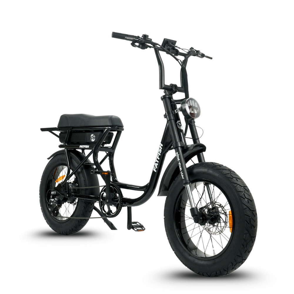 Fatfish Step 21AH Fat Tyre E-Bike