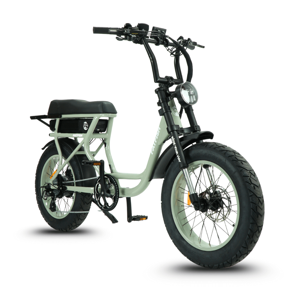 Fatfish Step 21AH Fat Tyre E-Bike