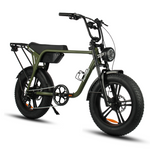 Load image into Gallery viewer, Fatfish Biggie Fat Tyre E-Bike