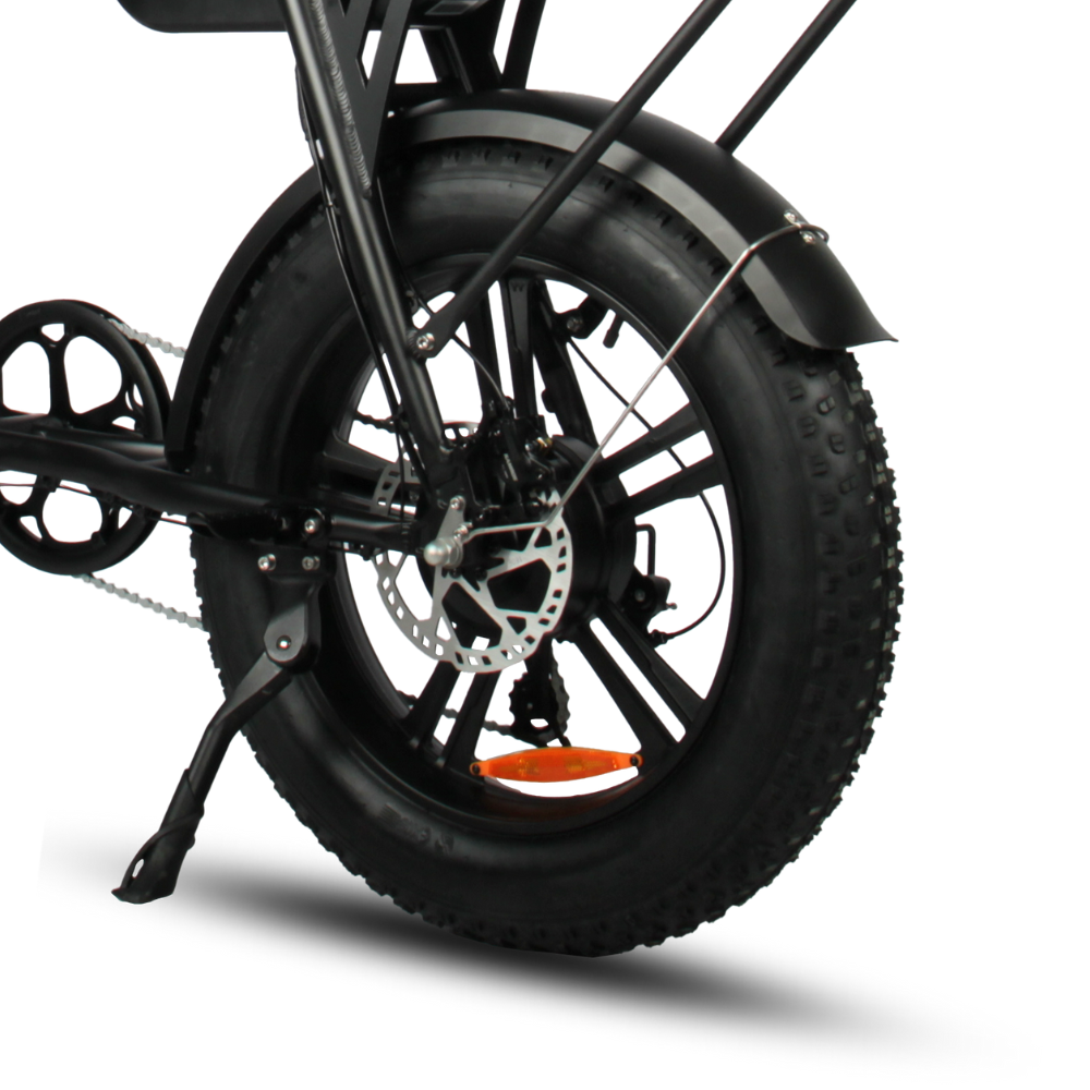 Fatfish Biggie Fat Tyre E-Bike