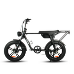 Load image into Gallery viewer, Fatfish Biggie Fat Tyre E-Bike