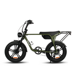 Load image into Gallery viewer, Fatfish Biggie Fat Tyre E-Bike