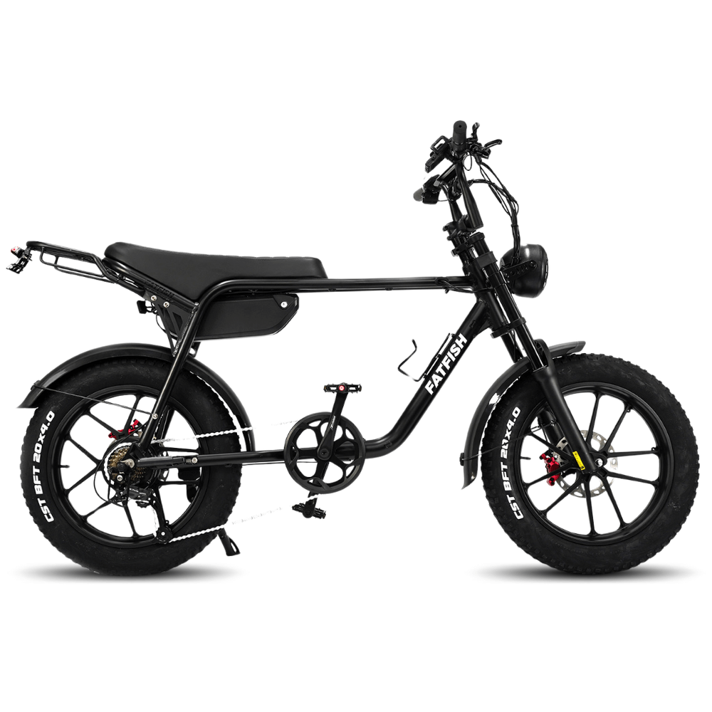 Fat tyres bike on sale