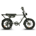 Load image into Gallery viewer, Fatfish OG Fat Tyre E-Bike