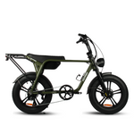 Load image into Gallery viewer, Fatfish Biggie EN15194 Certified Fat Tyre E-Bike