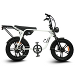 Load image into Gallery viewer, Fatfish Biggie EN15194 Certified Fat Tyre E-Bike