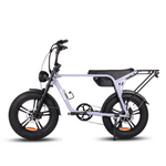 Load image into Gallery viewer, Fatfish Biggie Fat Tyre E-Bike