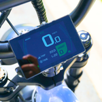 Load image into Gallery viewer, Fatfish Biggie Display Screen