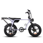 Load image into Gallery viewer, Fatfish Biggie Fat Tyre E-Bike