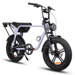 Load image into Gallery viewer, Fatfish Biggie Fat Tyre E-Bike