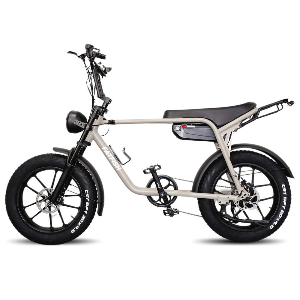 Fatfish Fat Tyre E Bike Ride Electric