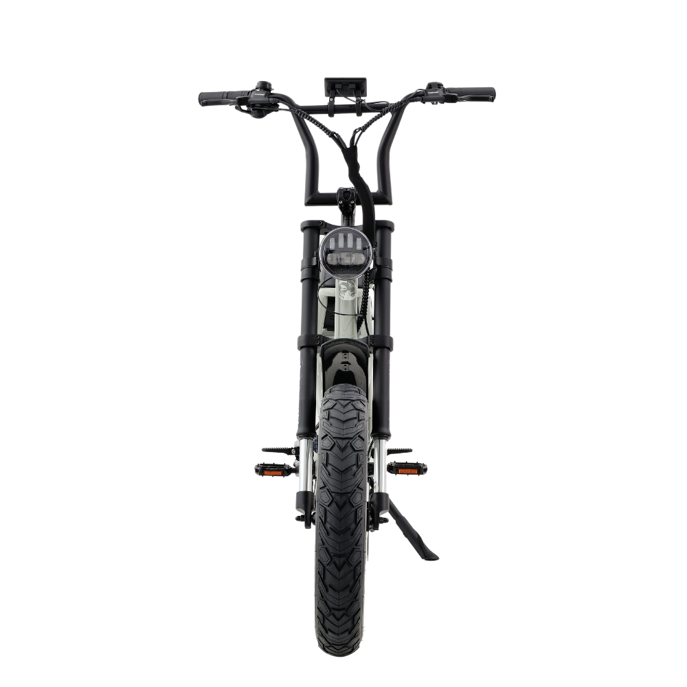 Fatfish Step 21AH Fat Tyre E-Bike