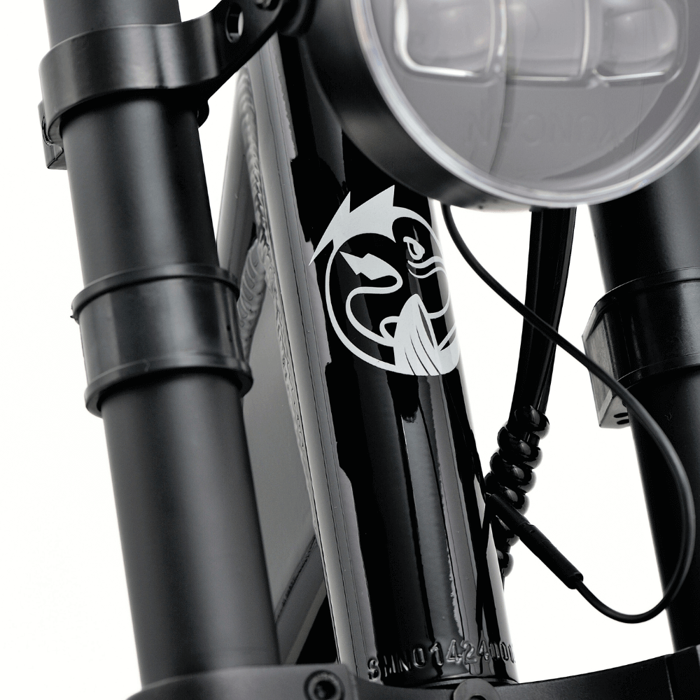 Fatfish Step 21AH Fat Tyre E-Bike