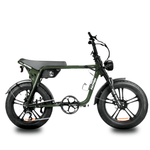 Load image into Gallery viewer, Fatfish OG 2.0 EN15194 Certified Fat Tyre E-Bike