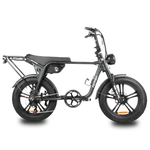 Load image into Gallery viewer, Fatfish OG 2.0 EN15194 Certified Fat Tyre E-Bike