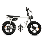Load image into Gallery viewer, Fatfish OG 2.0 EN15194 Certified Fat Tyre E-Bike
