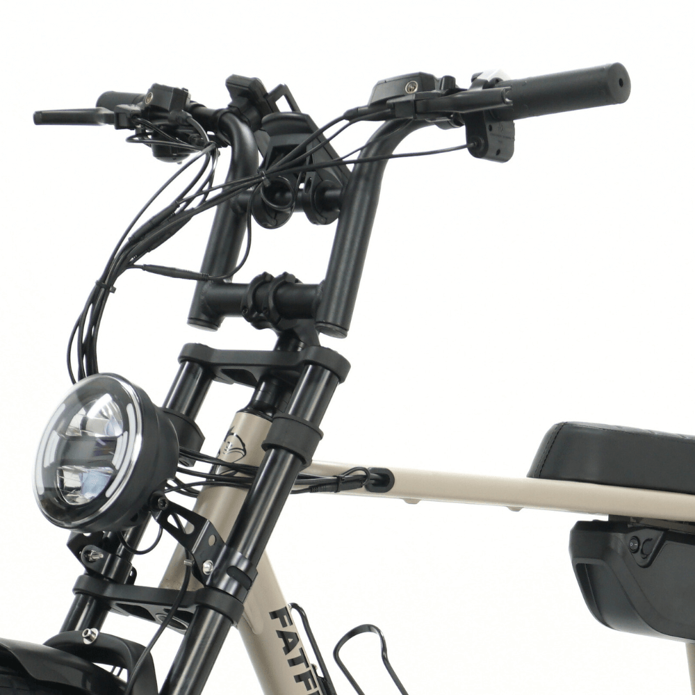 Fatfish OG Fat Tyre E-Bike