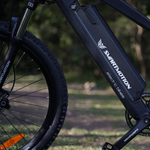 Load image into Gallery viewer, Smartmotion Battery Sports