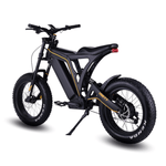 Load image into Gallery viewer, Vsett Eagle