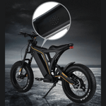 Load image into Gallery viewer, Vsett Eagle