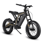 Load image into Gallery viewer, Vsett Eagle