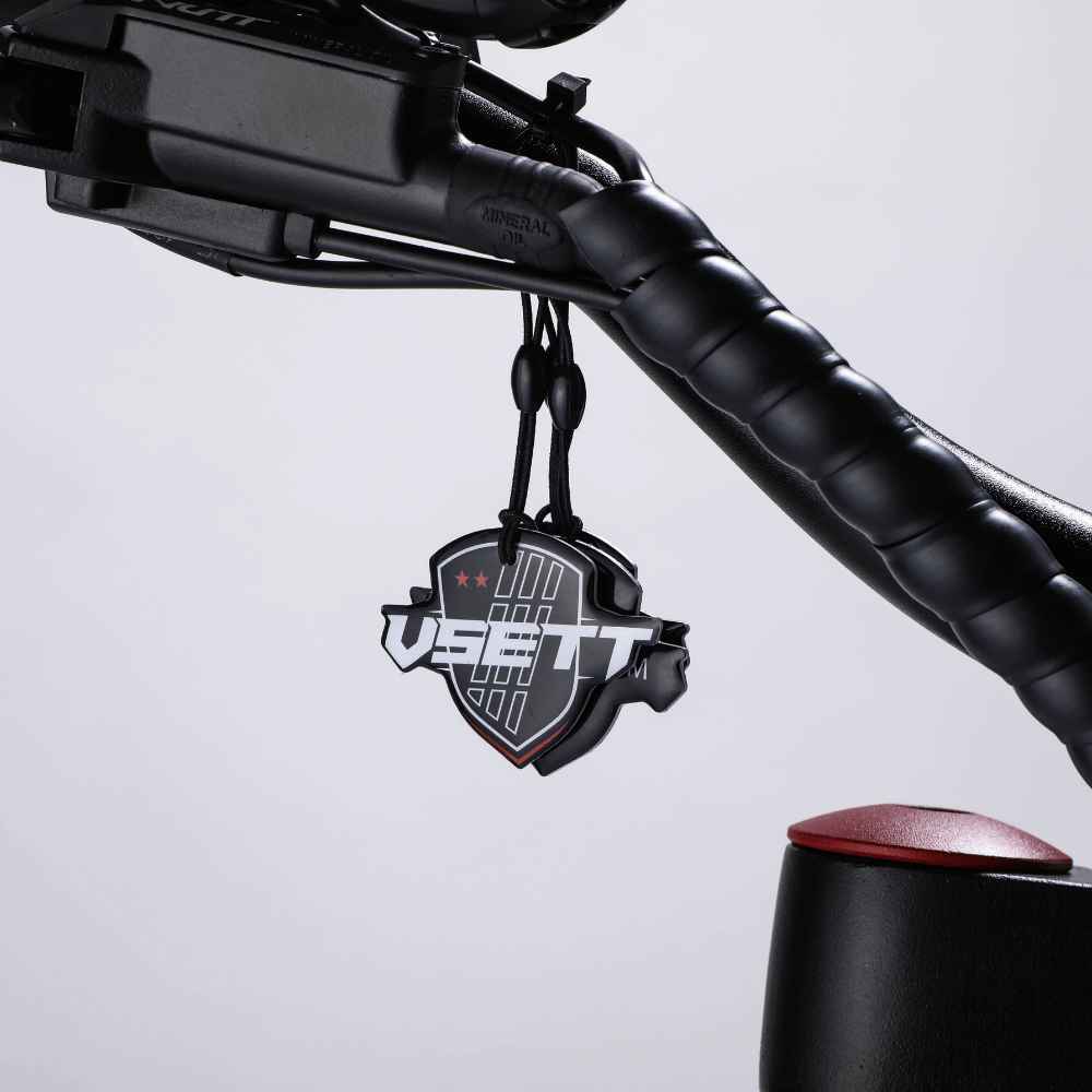 VSETT 8 Electric Scooter