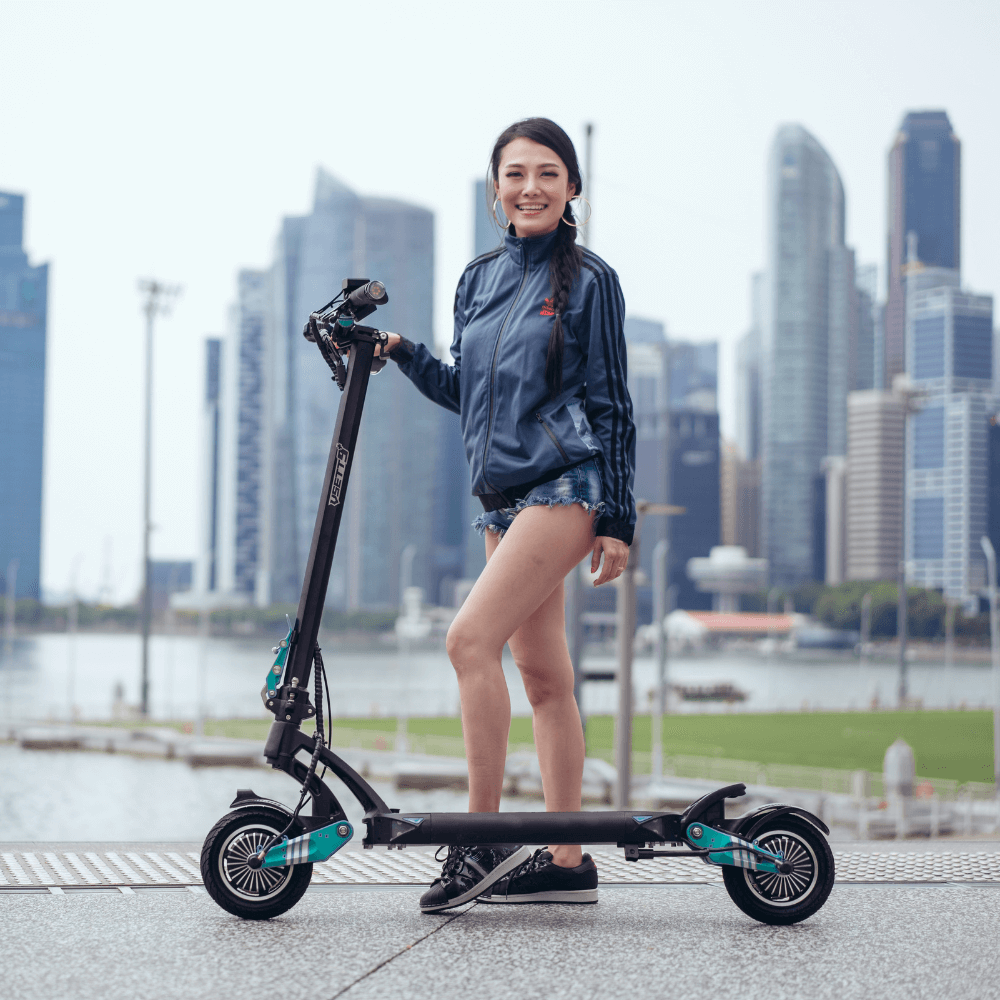 VSETT 9+ Electric Scooter