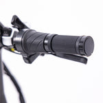Load image into Gallery viewer, Fatboy The Scrambler
