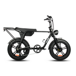 Load image into Gallery viewer, Fatfish Biggie EN15194 Certified Fat Tyre E-Bike