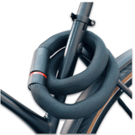 Load image into Gallery viewer, Abus Goose Lock 6206K
