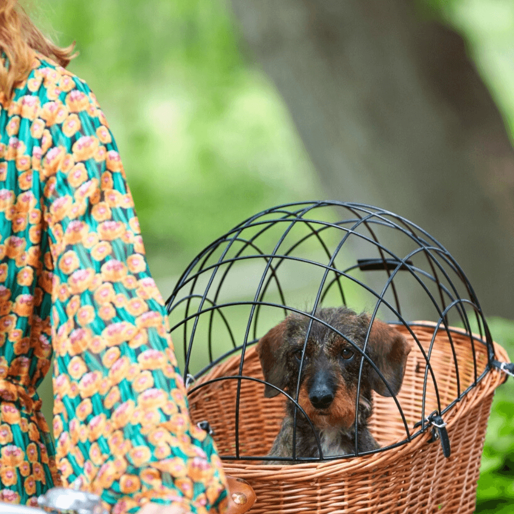 Basil PASJA Rear Rattan Dog Basket