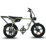 Load image into Gallery viewer, Fatfish Biggie Fat Tyre E-Bike
