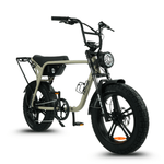 Load image into Gallery viewer, Fatfish Biggie Fat Tyre E-Bike
