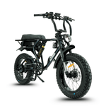 Load image into Gallery viewer, Fatfish DS Fat Tyre E-Bike
