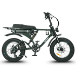 Load image into Gallery viewer, Fatfish DS Fat Tyre E-Bike
