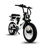 Load image into Gallery viewer, Fatfish DS Fat Tyre E-Bike
