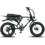 Load image into Gallery viewer, Fatfish DS Fat Tyre E-Bike

