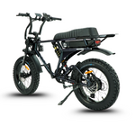 Load image into Gallery viewer, Fatfish DS Fat Tyre E-Bike

