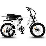 Load image into Gallery viewer, Fatfish DS Fat Tyre E-Bike
