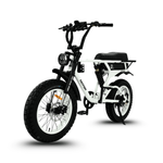 Load image into Gallery viewer, Fatfish DS Fat Tyre E-Bike
