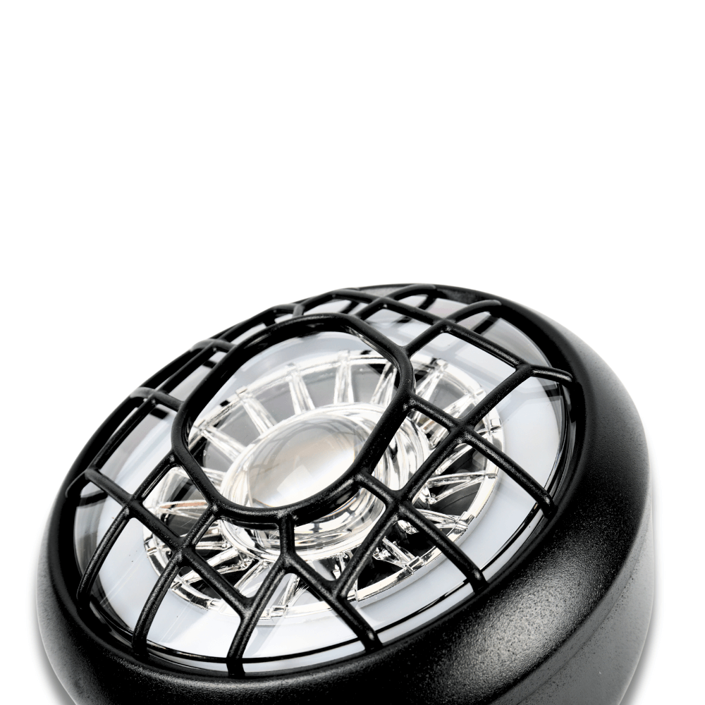 Fatfish Front Light