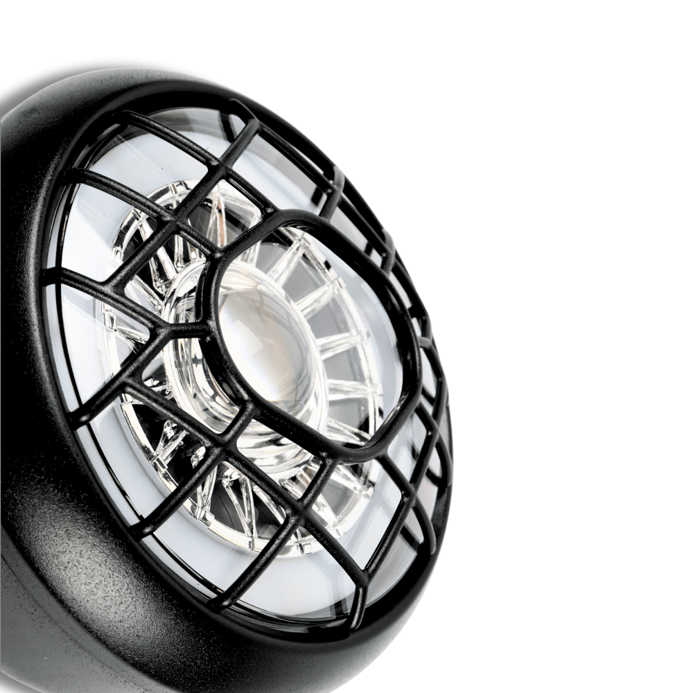 Fatfish Front Light