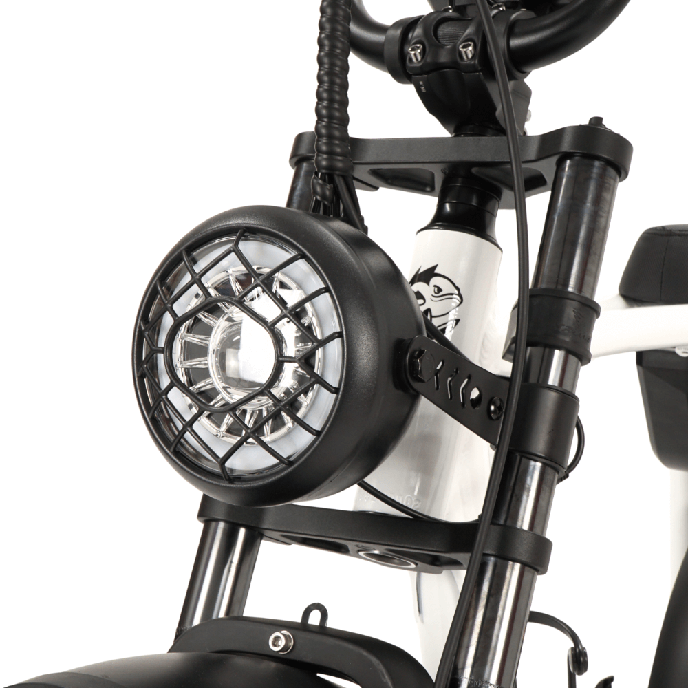Fatfish OG 2.0 EN15194 Certified Fat Tyre E-Bike