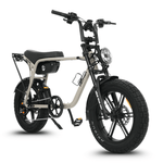 Load image into Gallery viewer, Fatfish OG Fat Tyre E-Bike
