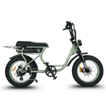 Load image into Gallery viewer, Fatfish Step 21AH Fat Tyre E-Bike
